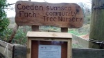 Swansea Community Tree Nursery