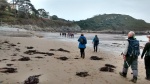 Back along the shore at Caswell Bay