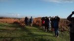 Glamorgan Bird Club heading at Sker Farm looking at Stonechats Jan 2015
